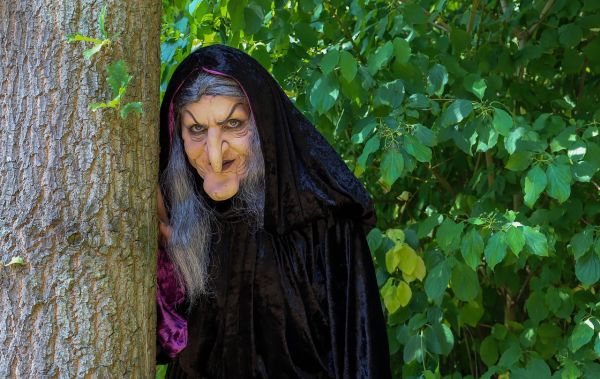 Bancuri tari cu vrăjitoare: Muma Pădurii ia o pastilă de Viagra și pleacă la plimbare