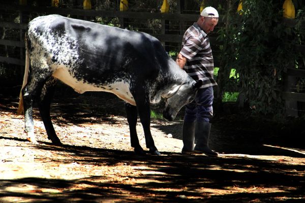 Țăranul și inginerul agronom