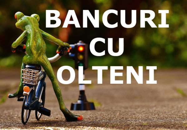 Bancuri cu olteni în București: 3 olteni văd un semafor în Capitală