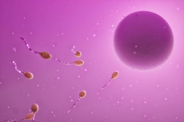 Trei spermatozoizi stau de vorbă: Dacă ajung să fecundez ovulul, scot o blondă superbă cu picioare până-n gât