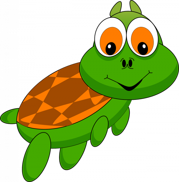 Un bețiv, în bâlci, câștigă o broască țestoasă