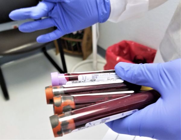 Avocatul: -Testul ADN a dovedit că era sângele tău la locul crimei
