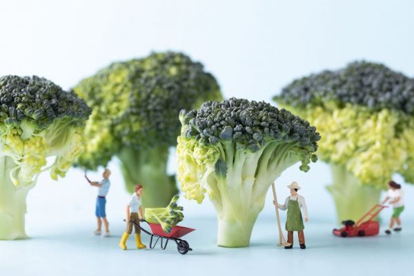 - Joi ți-am fiert broccoli, vineri ți-am făcut ștevie...