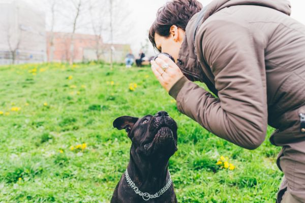 – Bulă, am un câine extraordinar