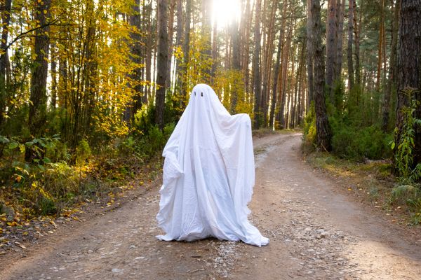 -Tată, tu crezi în fantome?