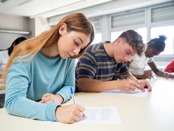 Bulă merge să dea examen la Teatru
