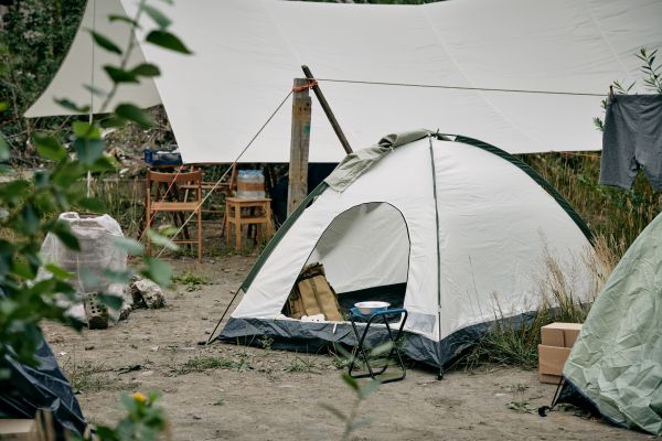 Doi olteni merg în vacanță