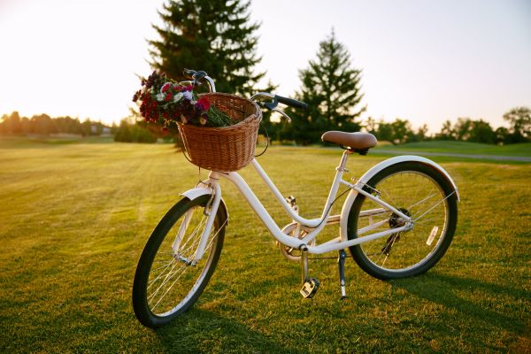 Bulă are bicicletă nouă