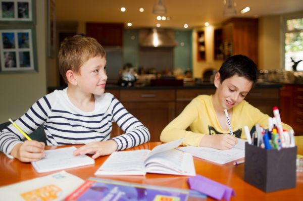 Profesorul: Ionel, de ce nu ți-ai făcut tema la matematică?