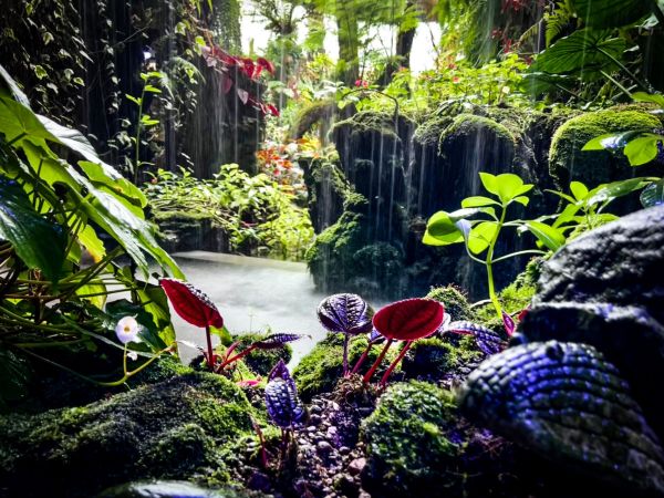 Adam și Eva, români get-beget