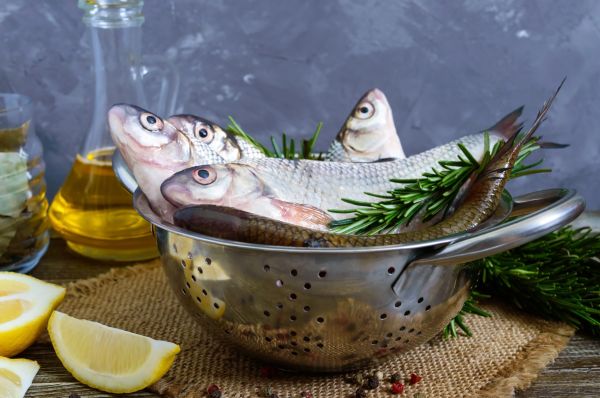 Bulă merge la pescuit cu un prieten.