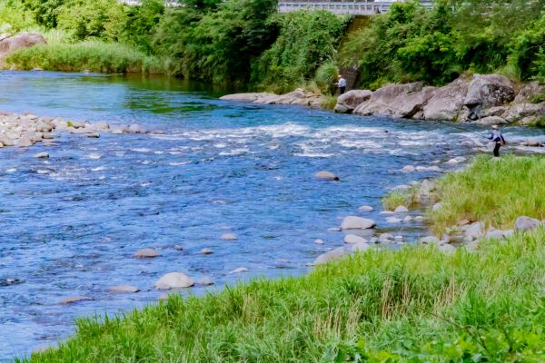 Ion și Vasile stau pe un mal de râu