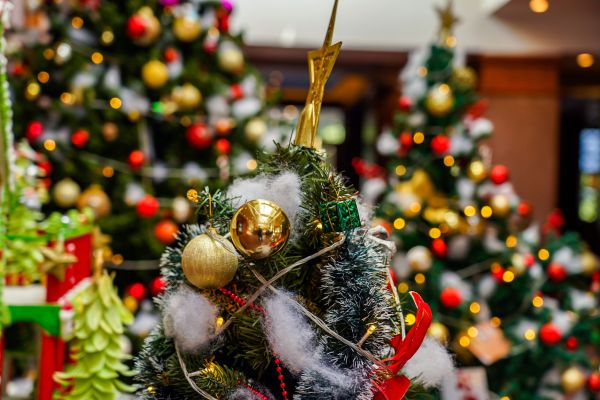 - Am făcut horă în jurul bradului!