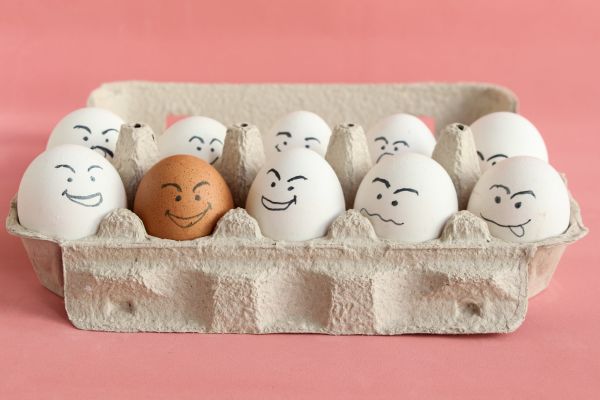 La şcoală, învăţătoarea întreabă ce dă o găină