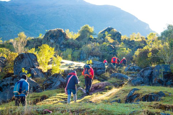 Bulă și excursia la munte
