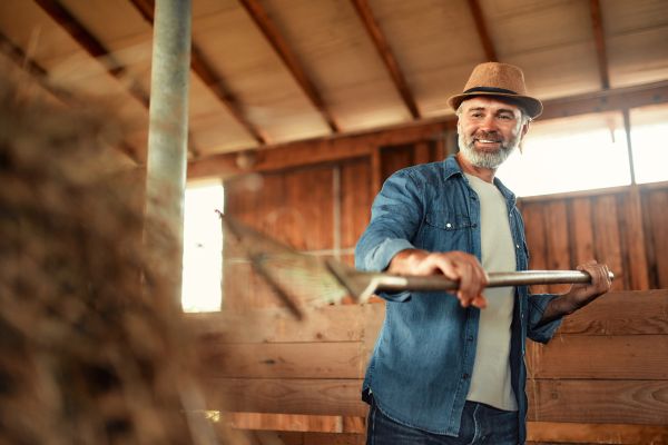 Ion vine la Gheorghe și il vede țopăind prin casă