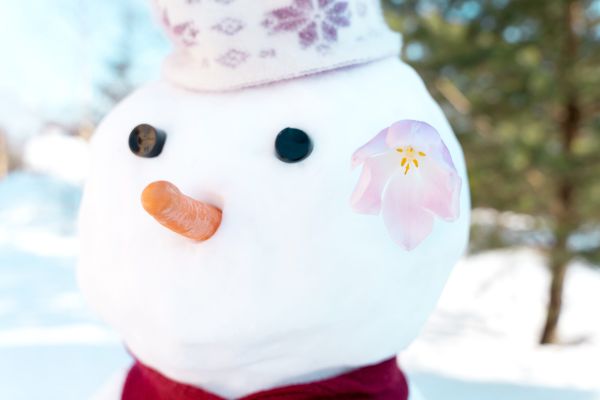 - Ce mănâncă oamenii de zăpadă la micul dejun?