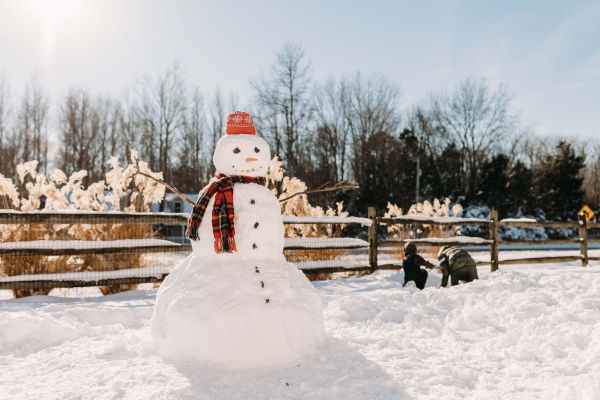 – De ce n-au oamenii de zăpadă prieteni la mare?