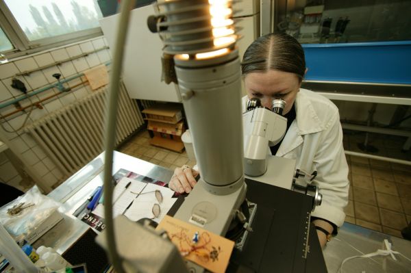 – Domnule doctor, ce mă fac? – Ce s-a întâmplat, Bulă?