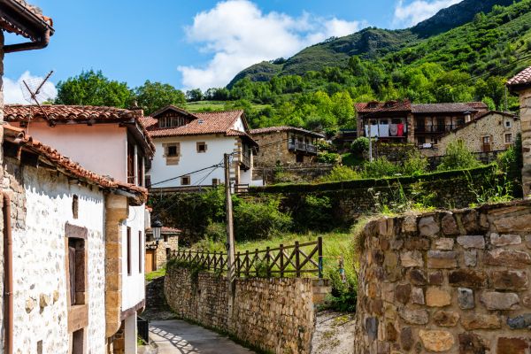 Doi ardeleni stau de vorbă