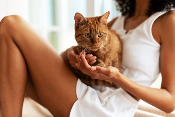 Bătrâna și Gicuță