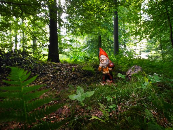 - Eu sunt piticul bălților