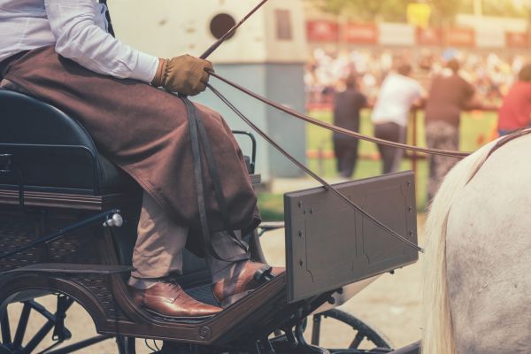 - Băi omule, unde te duci tu cu căruța?