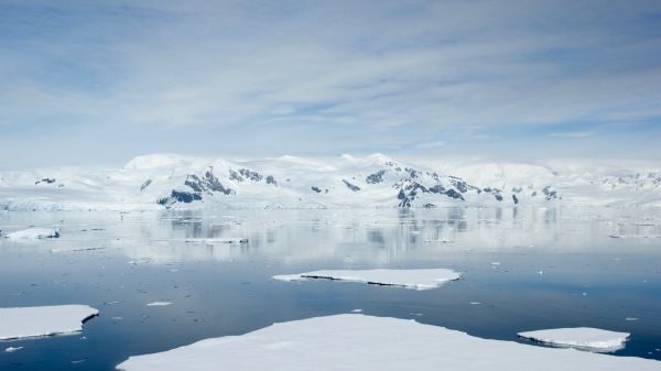 Crimă la Polul Nord
