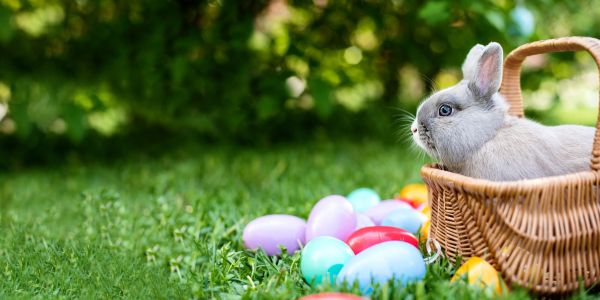 — Părinte, dar cu ouăle vopsite ce facem?