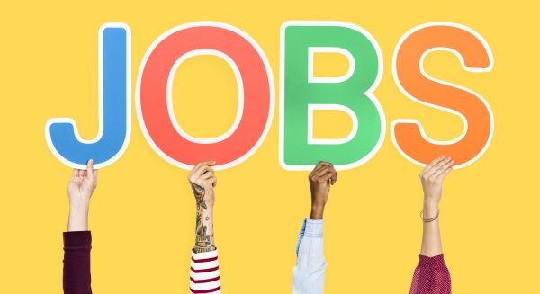 Bulă își caută loc de muncă