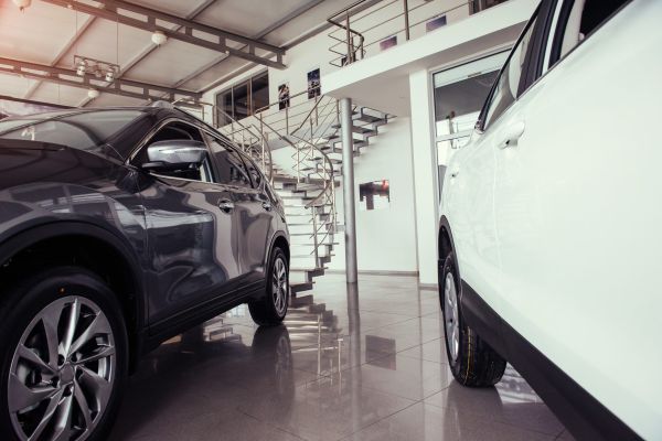 – Ai reuşit să bagi maşina în garaj?