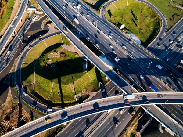 Bulă conduce pe autostradă