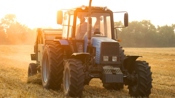 Doi tractorişti în pauza de masă