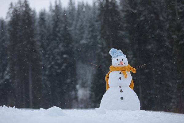 Fetițele și omul de zăpadă