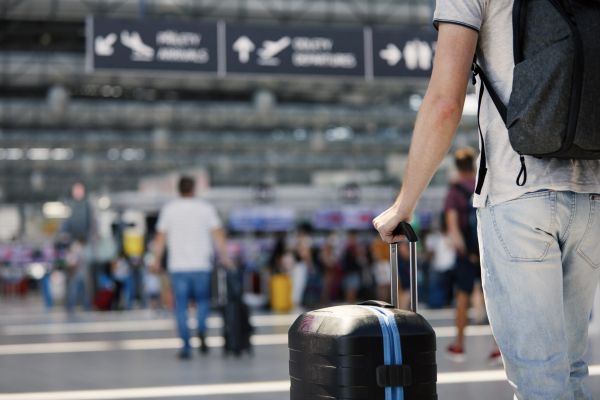 Bulă ajunge în aeroport