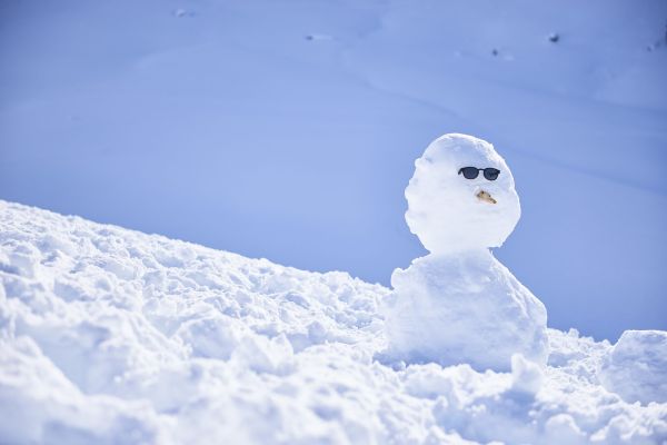 Doi oameni de zăpădă sunt atacați de un iepure