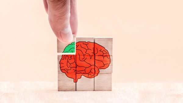 Bulă începe să aibă probleme cu memoria