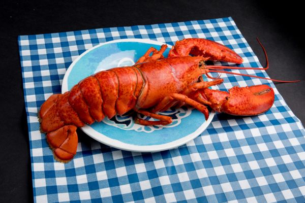Bulă și fructele de mare